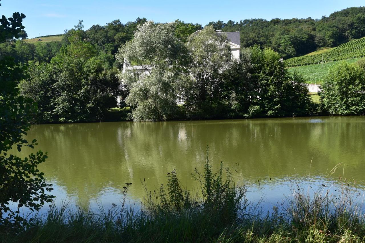 Chateau Roquehort Avec Ev Recharge Point 22Kw Monein Eksteriør bilde