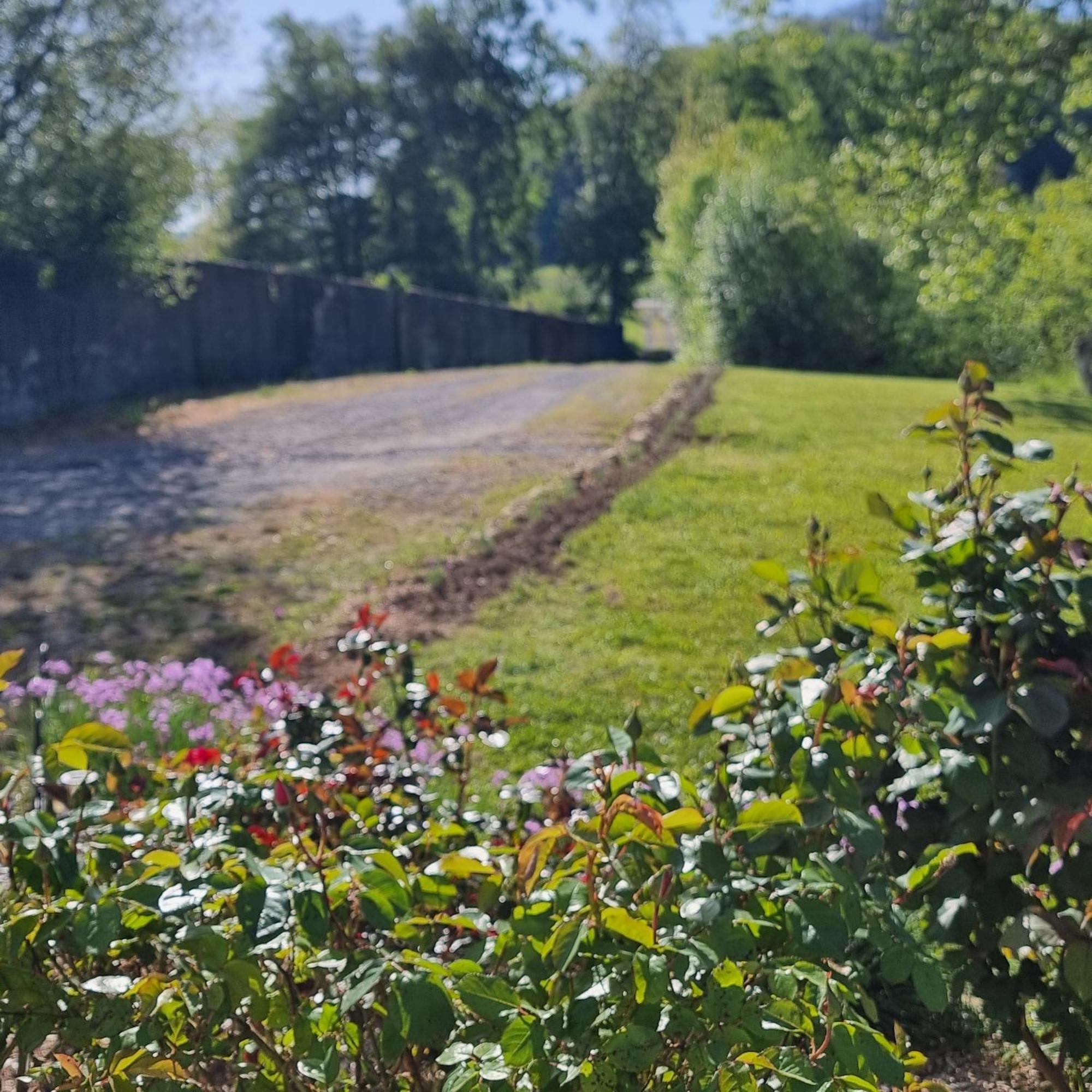 Chateau Roquehort Avec Ev Recharge Point 22Kw Monein Eksteriør bilde