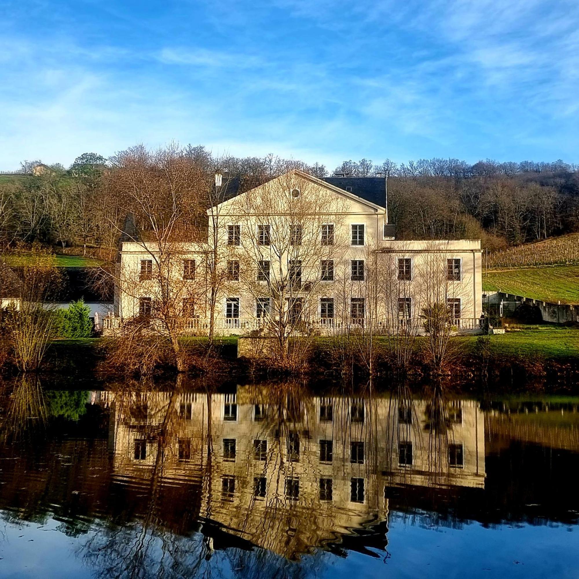 Chateau Roquehort Avec Ev Recharge Point 22Kw Monein Eksteriør bilde